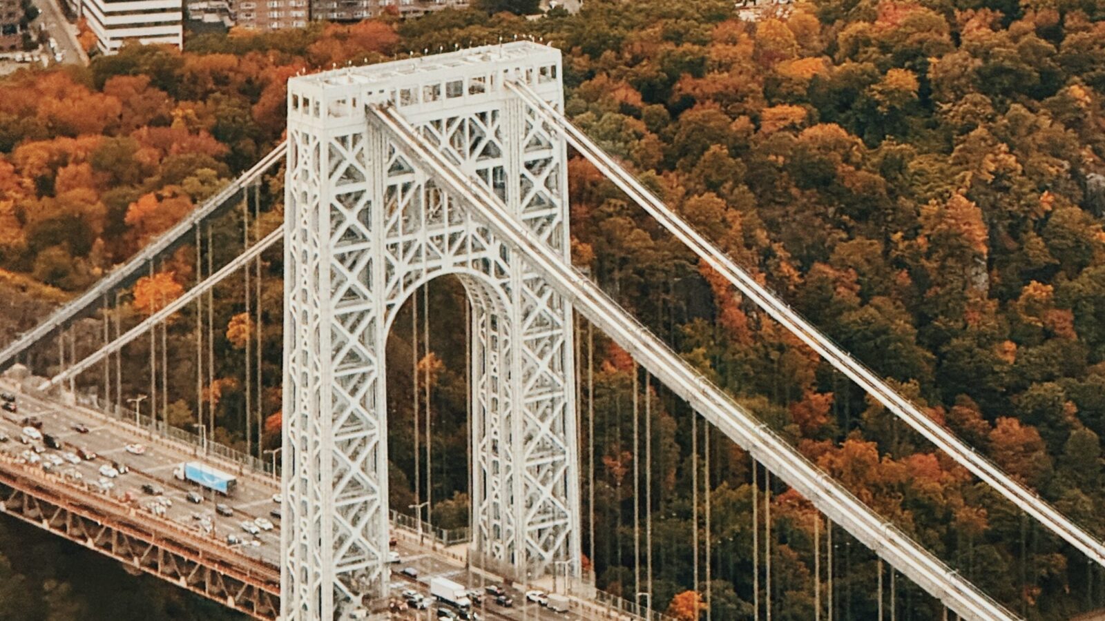 Fall Foliage Experience