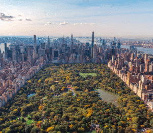 Central Park - Fall