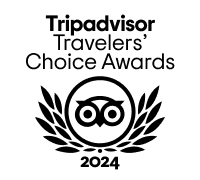 Tripadvisor travelers choice award logo